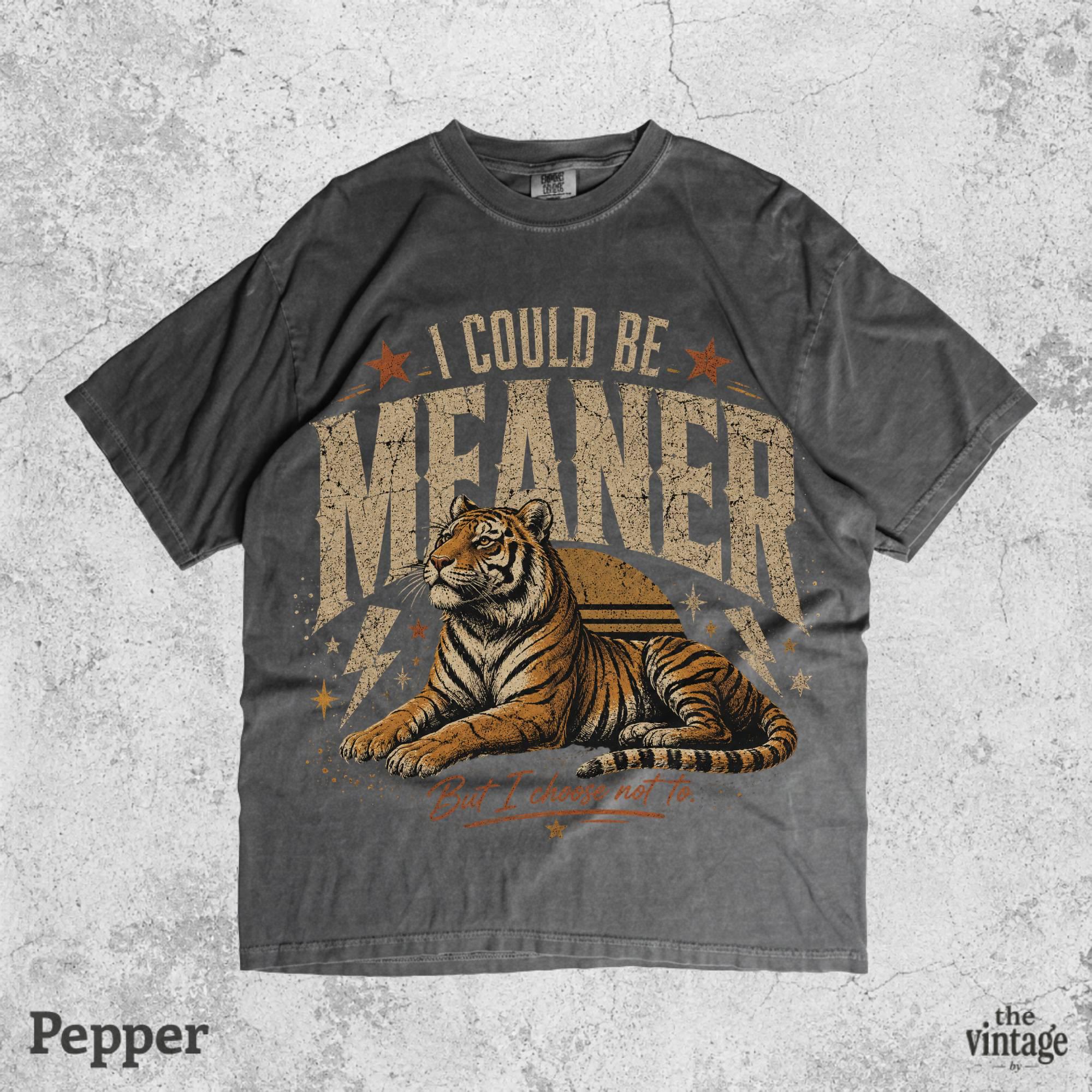 I Could Be Meaner Tiger Shirt, Vintage Comfort Colors Tee, Retro Tiger Graphic Shirt, Funny Sarcastic Tee, Oversized Y2K Grunge Shirt