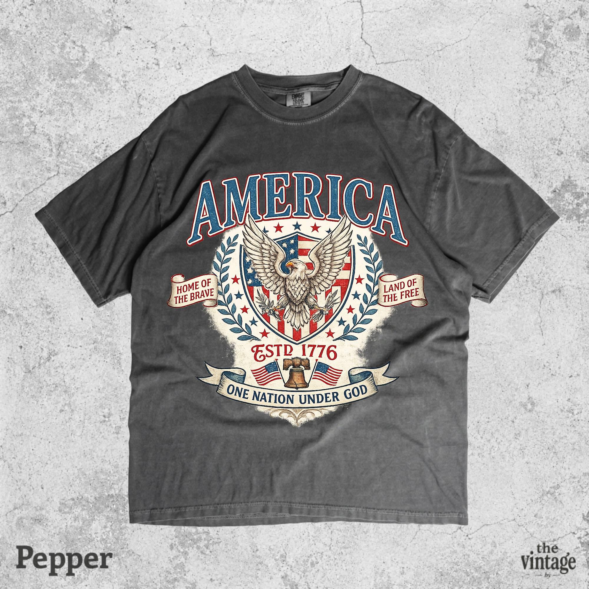 Vintage Retro Comfort Colors America Eagle Shirt, Patriotic USA Graphic Tee, Fourth of July Shirt, Independence Day Tee