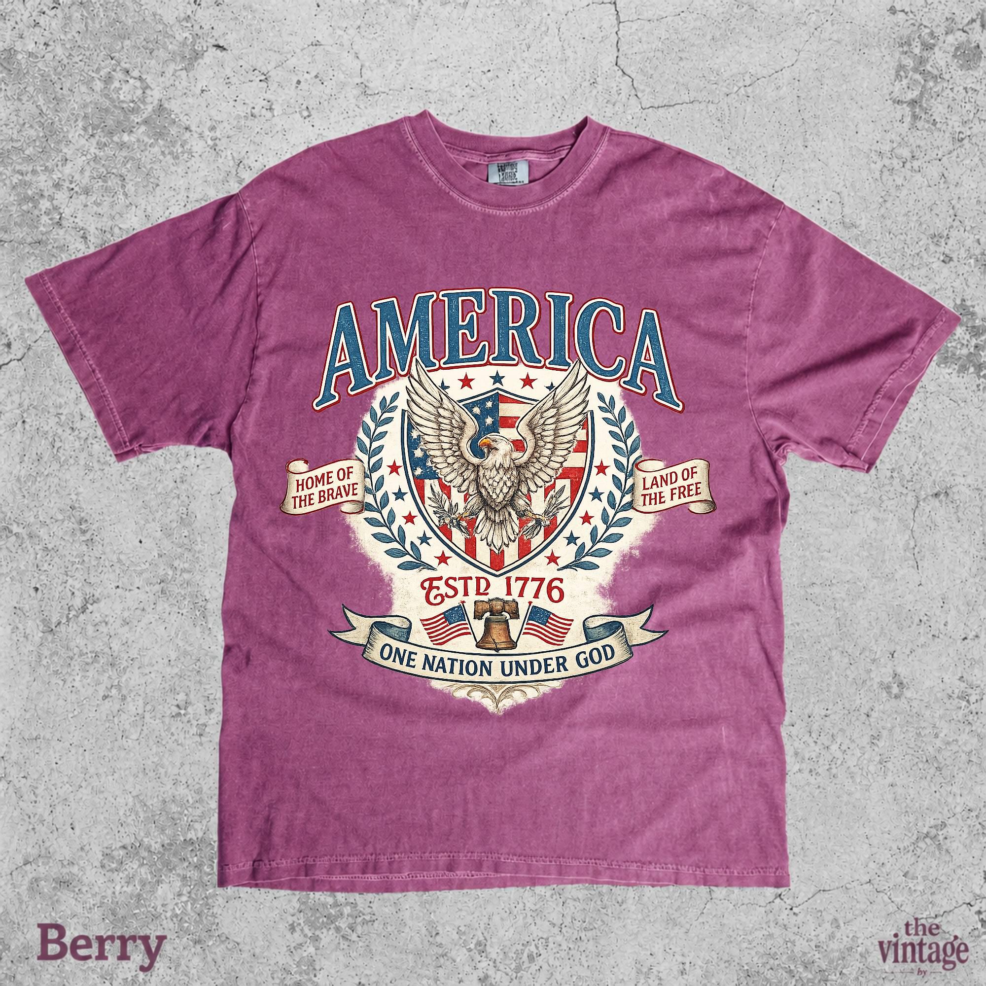 Vintage Retro Comfort Colors America Eagle Shirt, Patriotic USA Graphic Tee, Fourth of July Shirt, Independence Day Tee