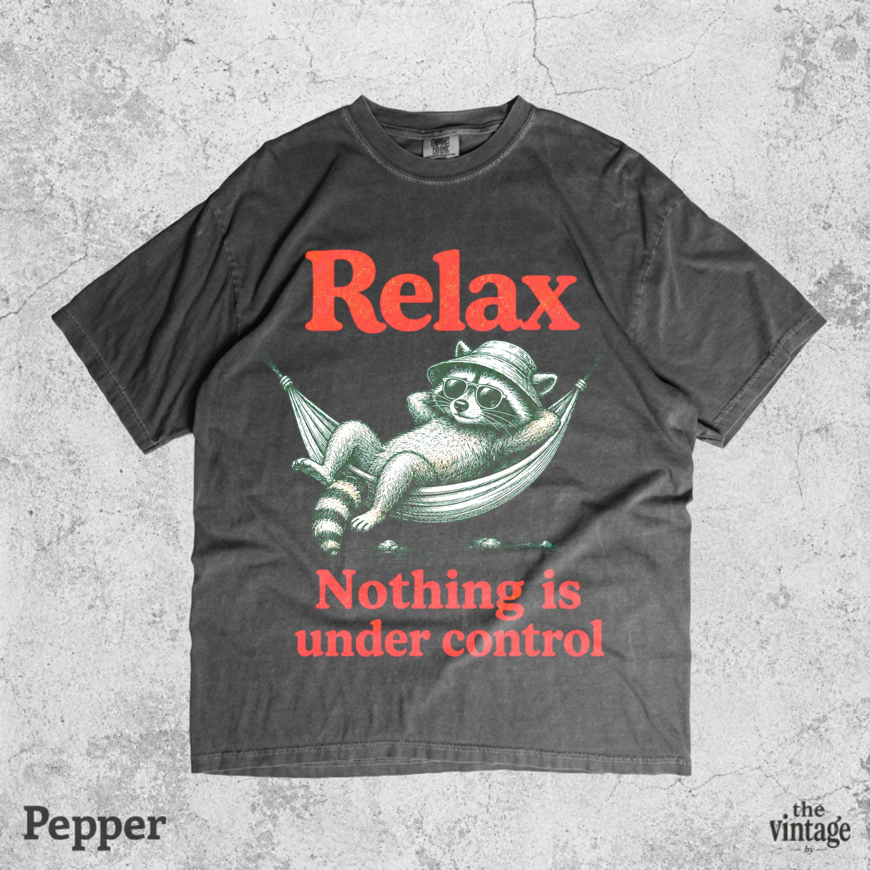Vintage Retro Comfort Colors Relax Nothing Is Under Control Shirt, Chill Raccoon Tee, Funny Raccoon Shirt, Trash Panda Graphic Tee, Summer
