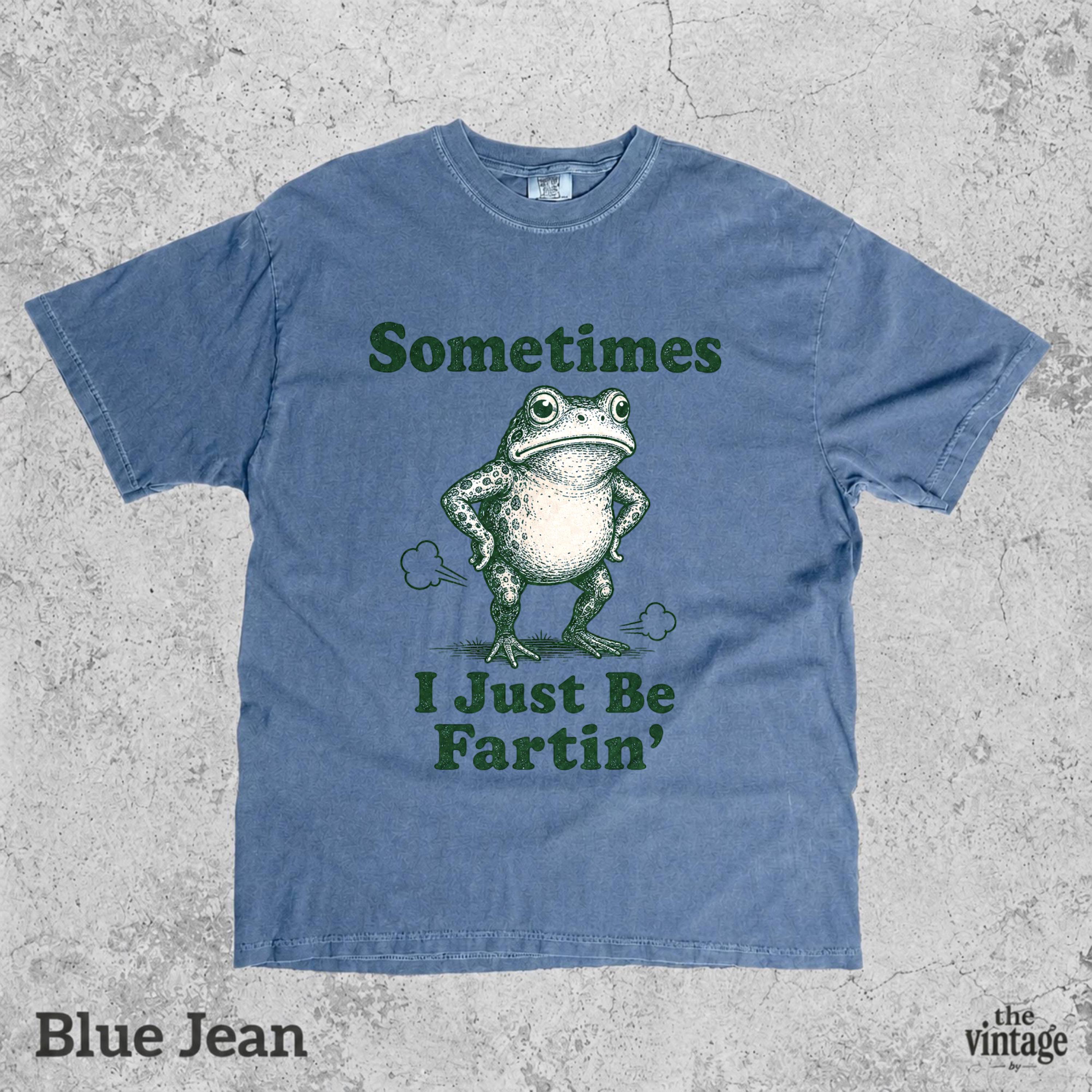 Vintage Retro Comfort Colors Sometimes I Just Be Fartin Shirt, Funny Frog Shirt, Meme Frog Tee, Funny Animal Shirt, Comfort Colors Frog Tee